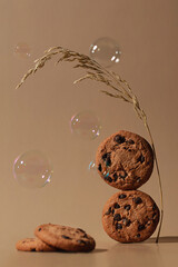 Banner with oatmeal cookies and a sprig of dried flowers in warm brown tones. Space for text.