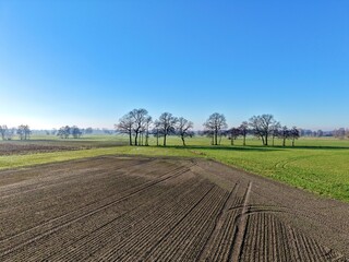 Offene weite Landschaft mit Acker und Wiesen und einer Baumreihe an einem sonnigen und klaren...