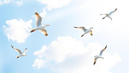 Obraz premium Five Seagulls Soaring Through a Bright Blue Sky with Fluffy White Clouds