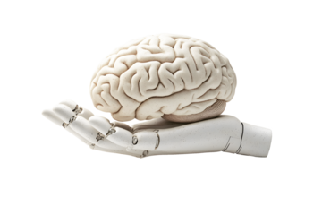 Conceptual image of AI robot cyborg hand holding human brain isolated on cut out PNG or transparent background. Symbol idea of robots taking over intellectual tasks from human. Future world technology