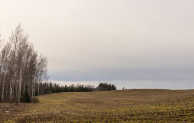 Obraz premium scenic view of the countryside with a road leading to the forest.