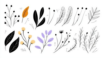Elegant Hand-Drawn Floral Illustrations with Black and Colorful Elements for Modern Design