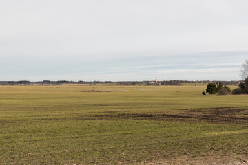 
a wide field of grass with car tire tracks stretching into the distance into the forest.