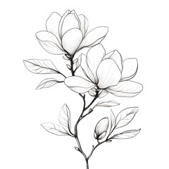 Obraz premium Elegant Minimalist Line Art of Blossoming Magnolia Branch