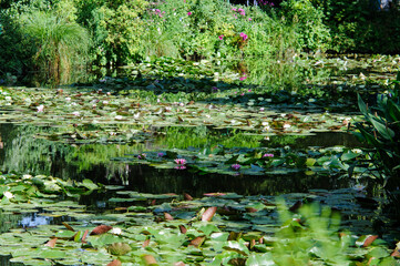 Iconic pond and water lily plants at the famed Giverny, France, home of the French impressionist...
