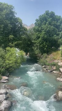bright blue rapid water streaming through lush green trees in a mountain on a beautiful hike in the French Alps.