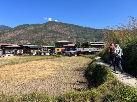Rear view of a senior couple walking past rice fields to Chimi Lhakhang monastery, Punakha District, Bhutan