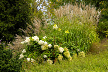 Arboretum Wojsławice Ogród Botaniczny Uniwersytetu Wrocławskiego – ogród botaniczny na terenie Niemczy w woj. dolnośląskim. W 1988 roku włączony w struktury Ogrodu Botanicznego .