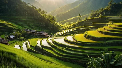 Fotobehang Lush green rice terraces and fields in Bali Vietnam and Thailand amidst mountains and nature © Chanasorn