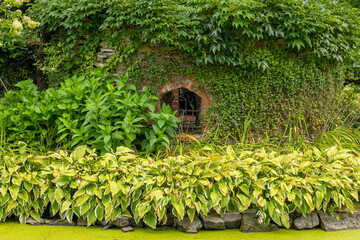 Arboretum Wojsławice Ogród Botaniczny Uniwersytetu Wrocławskiego – ogród botaniczny na terenie Niemczy w woj. dolnośląskim. W 1988 roku włączony w struktury Ogrodu Botanicznego .