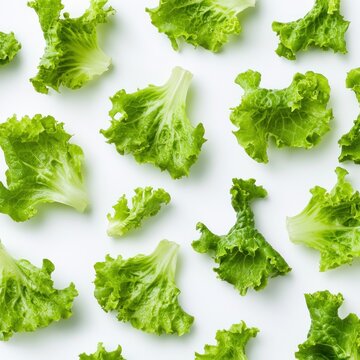 Fresh lettuce leaves flat lay pattern, white background, food photography, recipe illustration