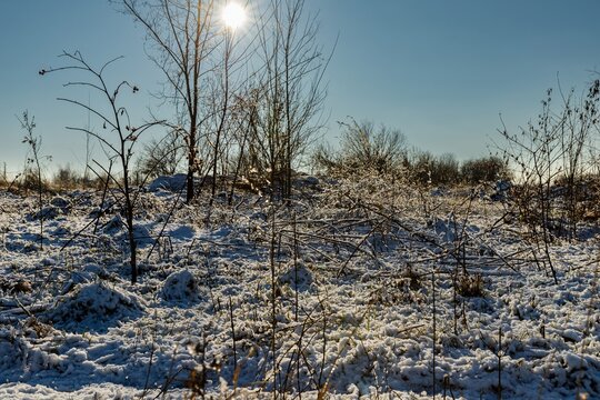 Winter landscape with frosty field and sunlight