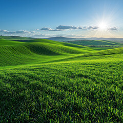 Fototapeta premium Rolling green hills bathed in sunset light, ideal for nature backgrounds