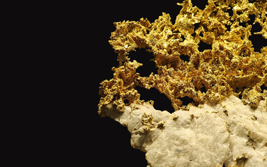 Obraz premium Close-Up View of Native Gold and Quartz Mineral Specimen
