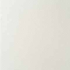 white paper texture