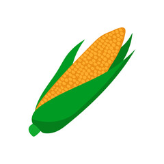 Corn Flat Icon, Vector illustration