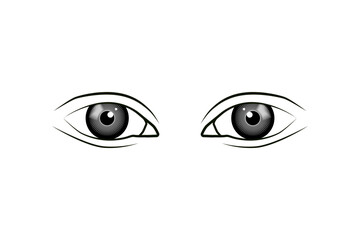 Human Eye vector illustration. Beautiful eye vector.