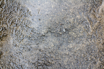 Cement Texture - Wet Textured Concrete Surface