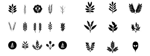 Isolated frames of wheat, barley, and oat ears, wreaths, grains graphic, rice or malt icons, gluten pictogram, modern cereal silhouettes, agriculture symbols