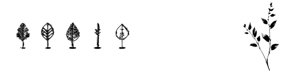 A collection of graphic modern plant branches featuring leaves and flowers. Perfect for wedding design, logo creation, packaging, and more