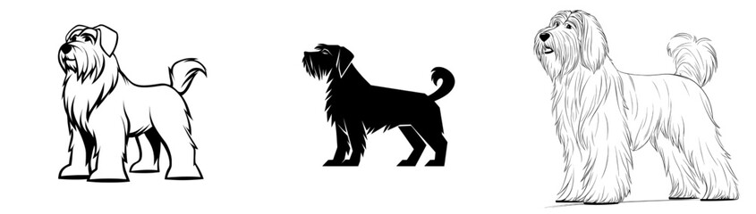 Decorative portrait of a modernly illustrated Dog Spinone Italiano