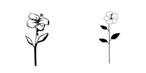 A modern illustration features a hibiscus flower in a minimalist one-line art style, with a black line sketch on a white background