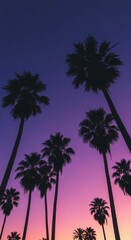 Silhouetted palm trees against vibrant sunset sky