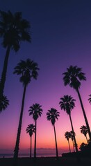 Obraz premium Silhouetted palm trees against vibrant sunset sky