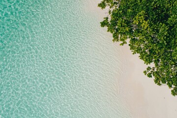 Crystal clear water gently meets sandy shore, framed by lush gre