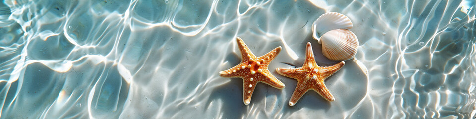 clear sparkling water starfish seashell waves gently lapping shore coastal beach vacation