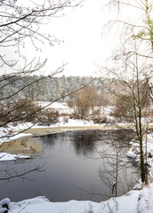 Fototapeta premium Frozen pond with trees in the background