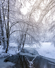 Fototapeta premium Snowy landscape with a river and trees