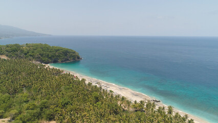 Fototapeta premium sandy beach with palm trees in tropical resort. aerial seascape sand beach with turquoise water. Seascape, ocean and beautiful beach.Travel concept. Indonesia, Bali