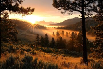 Obraz premium Sunrise over a mountain valley highlighted by golden rays and misty landscapes