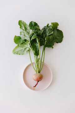 Just harvested golden beet with greens still attached.