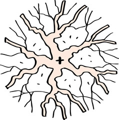 decoration hand drawn cartoon top view of tree illustration for landscape and architecture design.