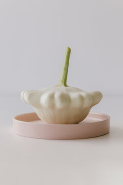 White pattison pumpkin on a pink plate.
