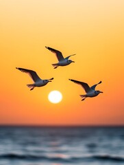Fototapeta premium Graceful seagulls soaring in a flock against a vibrant golden sunset over the peaceful tranquil ocean landscape The birds silhouettes create a dramatic