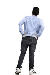 Fototapeta premium man on a white background. in full height. Back view