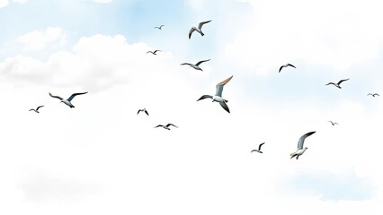 Flock of Seagulls Flying in a Cloudy Sky Nature Birds Freedom