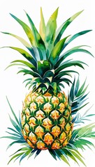Obraz premium Pineapple with Green Leaves watercolor in Tropical Botanical on plain white background