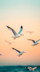 Obraz premium Flock of Seagulls Soaring Gracefully Over Serene Coastal Beach at Twilight Creating a Mesmerizing Display of Nature s Beauty and Freedom