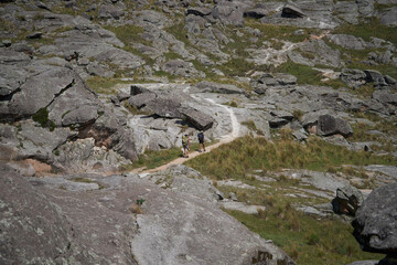 Outdoor Adventure, Exploring Nature with Man’s Best Friend