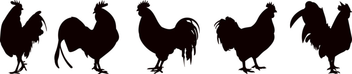 roosters silhouette on white background vector