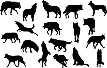wolves in different poses set on white background vector