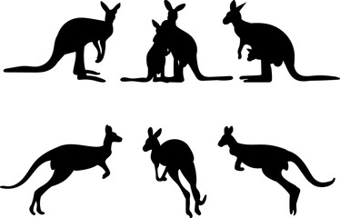 kangaroo set on white background vector