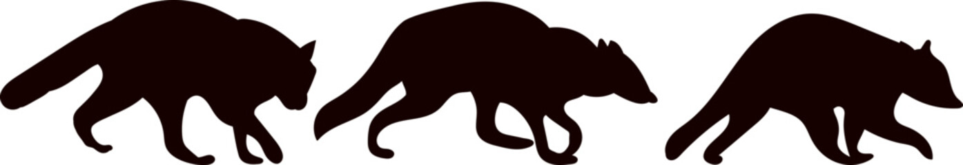 raccoons silhouette on white background vector