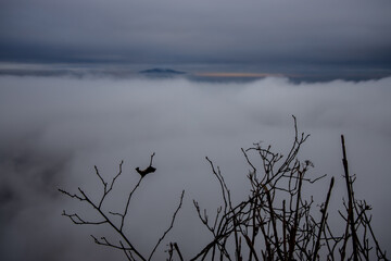 Winter cloudscape mountains view. Fog and mist on the sky with some dark clouds in a freezing morning air among the mountains and hills in Brasov, Romania