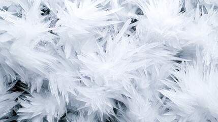 Close-up of ice crystals forming intricate patterns