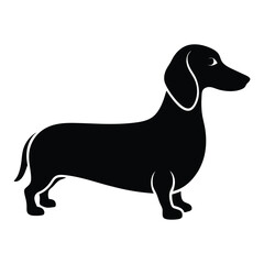 Vector silhouette illustration of a dachshund on a white background